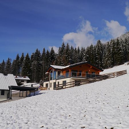 רמסאו אם דכשטיין Austrian Alpine Apartments מראה חיצוני תמונה