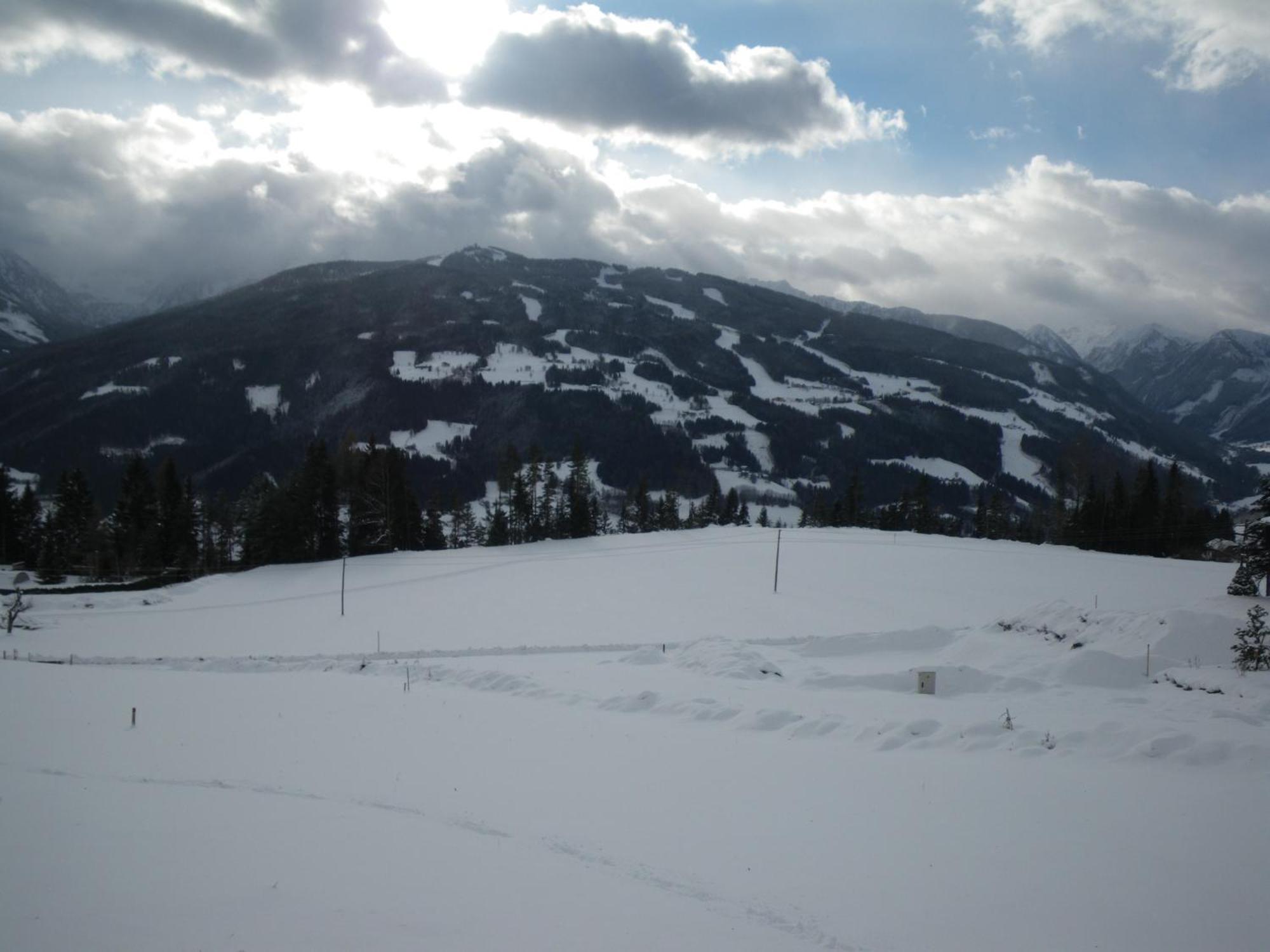 רמסאו אם דכשטיין Austrian Alpine Apartments מראה חיצוני תמונה