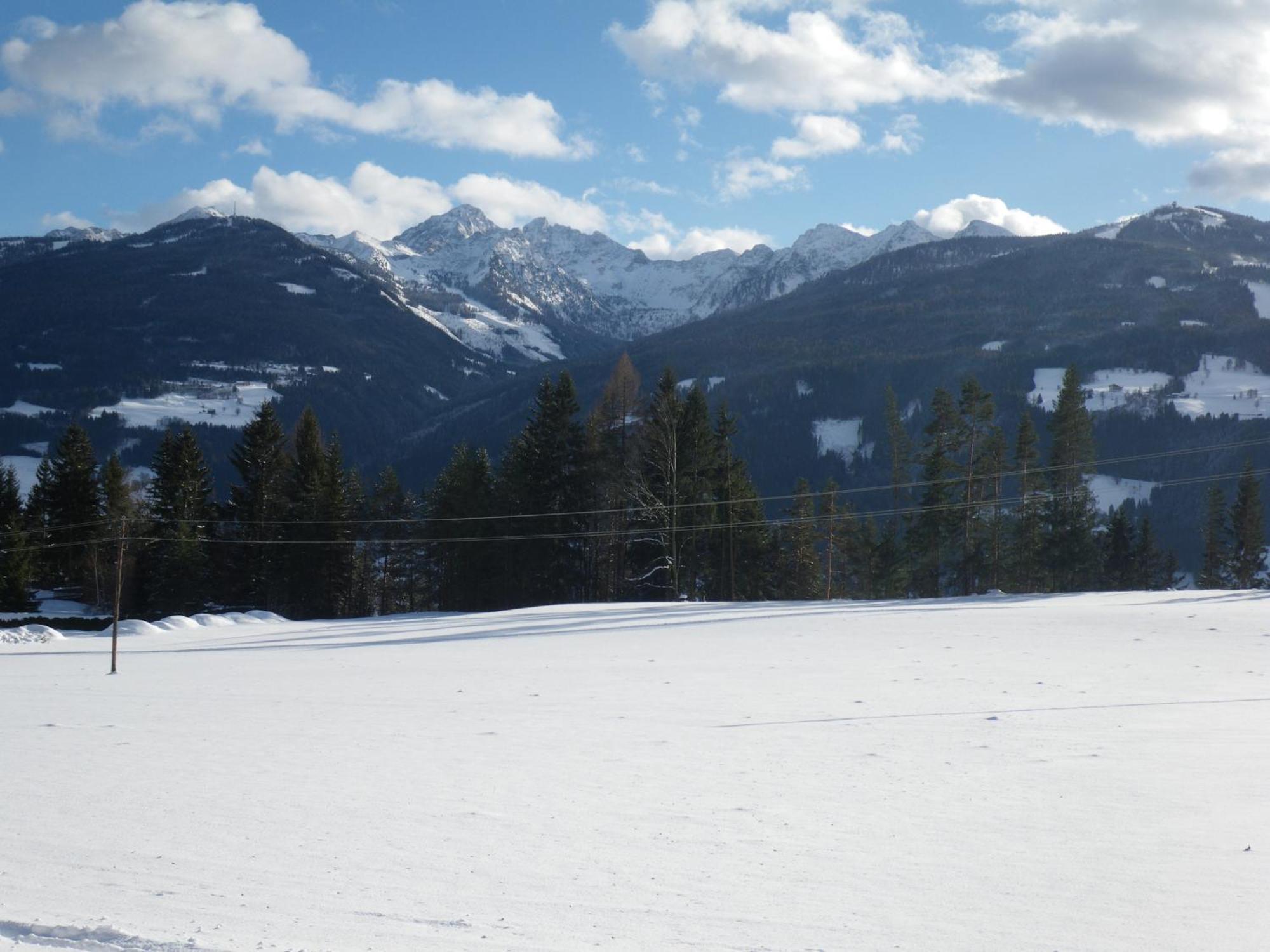 רמסאו אם דכשטיין Austrian Alpine Apartments מראה חיצוני תמונה
