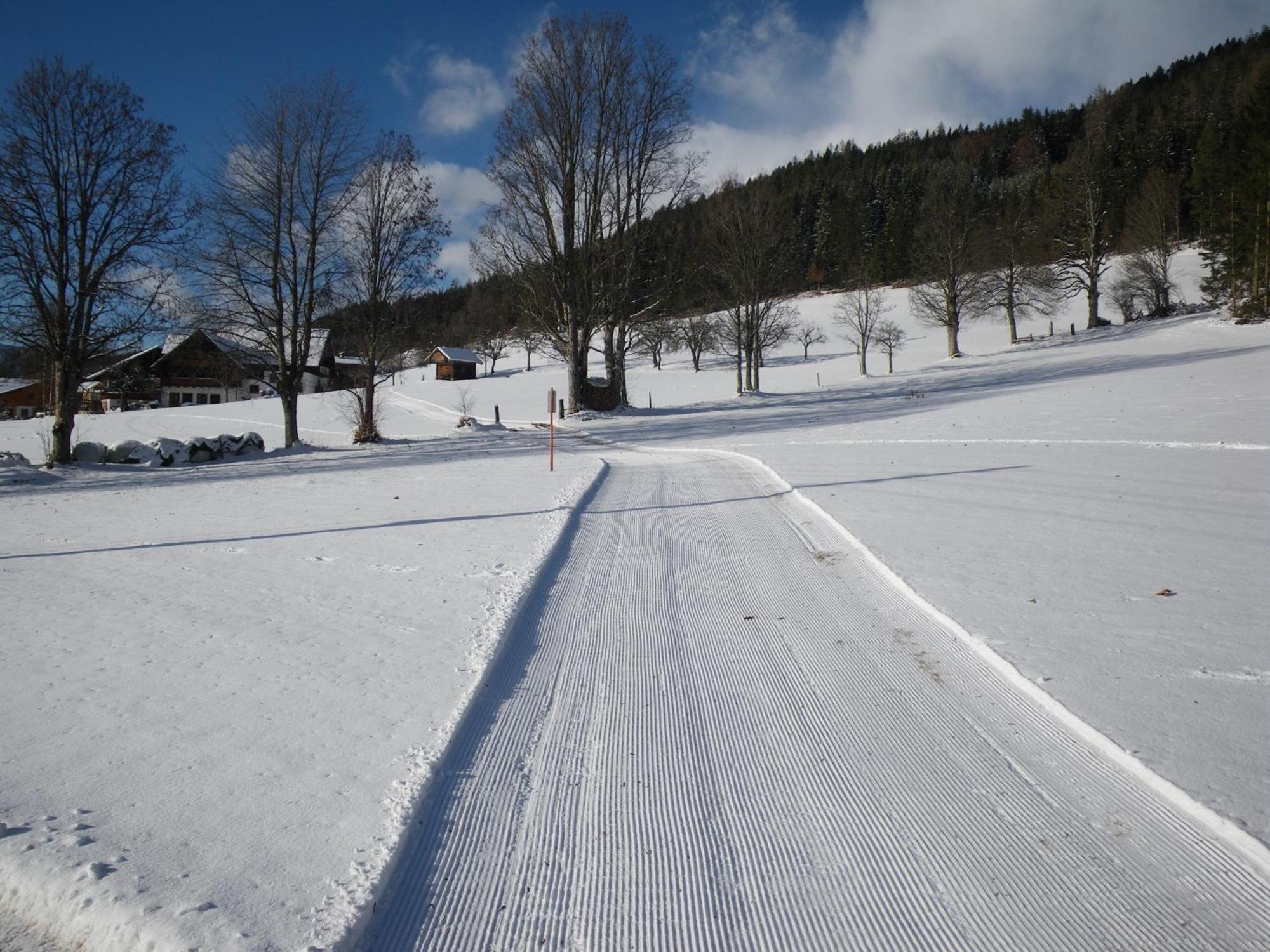 רמסאו אם דכשטיין Austrian Alpine Apartments מראה חיצוני תמונה