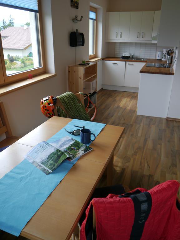 רמסאו אם דכשטיין Austrian Alpine Apartments מראה חיצוני תמונה