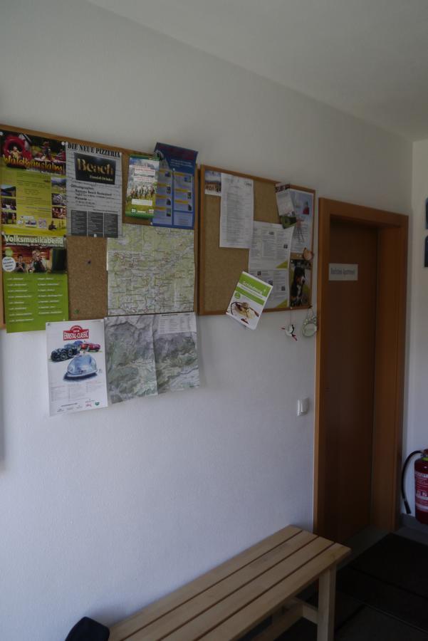 רמסאו אם דכשטיין Austrian Alpine Apartments מראה חיצוני תמונה